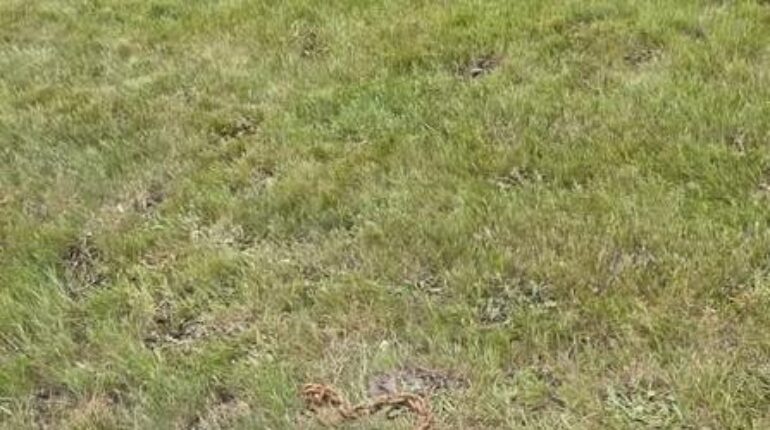 Boîte aux lettres Chaîne métallique découverte histoire Infrastructure révèle des vestiges Travaux routiers