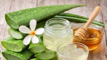 Actualités télévision Aloe vera bien être Cannelle Digestion Santé naturelle