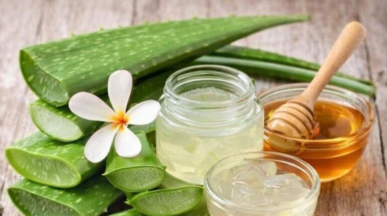 Actualités télévision Aloe vera bien être Cannelle Digestion Santé naturelle