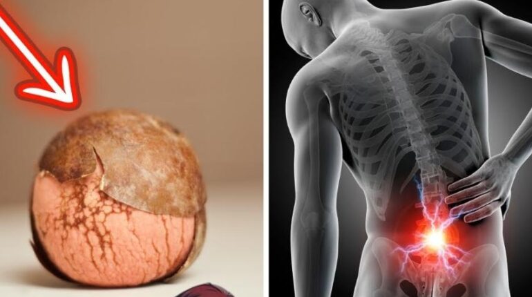 Avocats Bienfaits santé Douleurs articulaires Douleurs dorsales Polyphénols Remèdes naturels