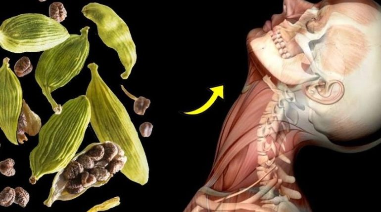 Alimentation saine Bienfaits santé Cardamome Digestion Épices Métabolisme santé cardiovasculaire 
