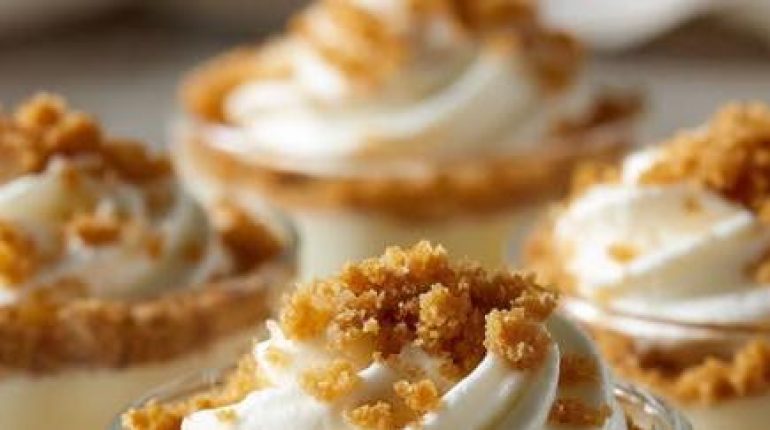 Cheesecake salé Conservation gâteau Crème dessert Cuisine rapide Dessert sans cuisson Recette facile 