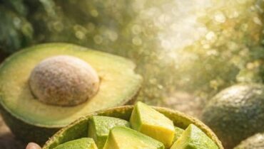 Avocats Bienfaits santé cholestérol Graisses saines Nutrition des plantes santé cardiovasculaire