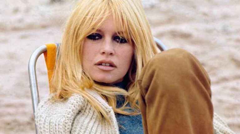 Abandon Animaux Actrice française Bernard d'Ormale Brigitte Bardot cancer cinéma français