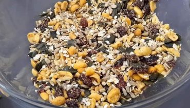 Astuces santé Biscuits Graham égout Flocons d'avoine Miel ail Recette américaine sans sucre 