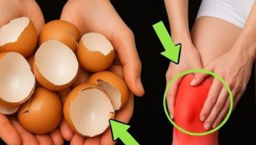 12 choses quotidiennes Articulations Astuces santé Calcium Carences Nutritionnelles Cuisine durable Remède naturel 