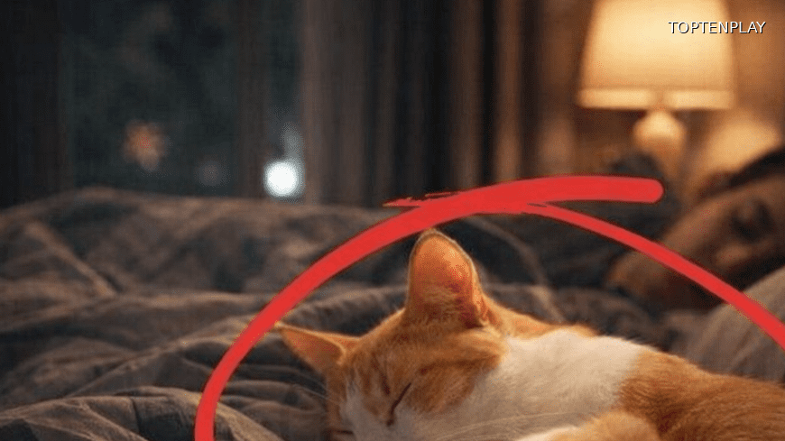 Symbolbild © TopTenPlay