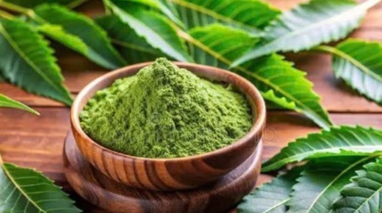 Asie du Sud Astuces santé bien être Circulation sanguine glycémie Neem Plantes médicinales 