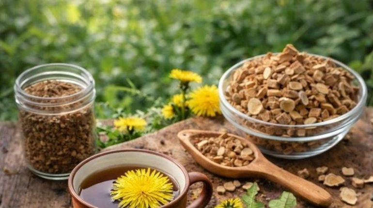 bien être Détox Digestion Immunité Plantes médicinales Racine de bardane 