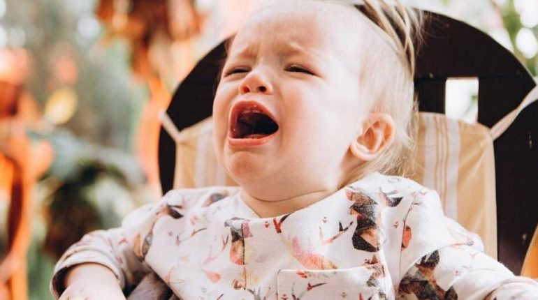 alimentation Allaiter son bébé Astuce cuisine Déclarations polémiques Éthique Restaurant végan 