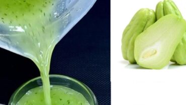 Amérique latine Ballonnements Chayote Clou de girofle Confort digestif Digestion Remède naturel