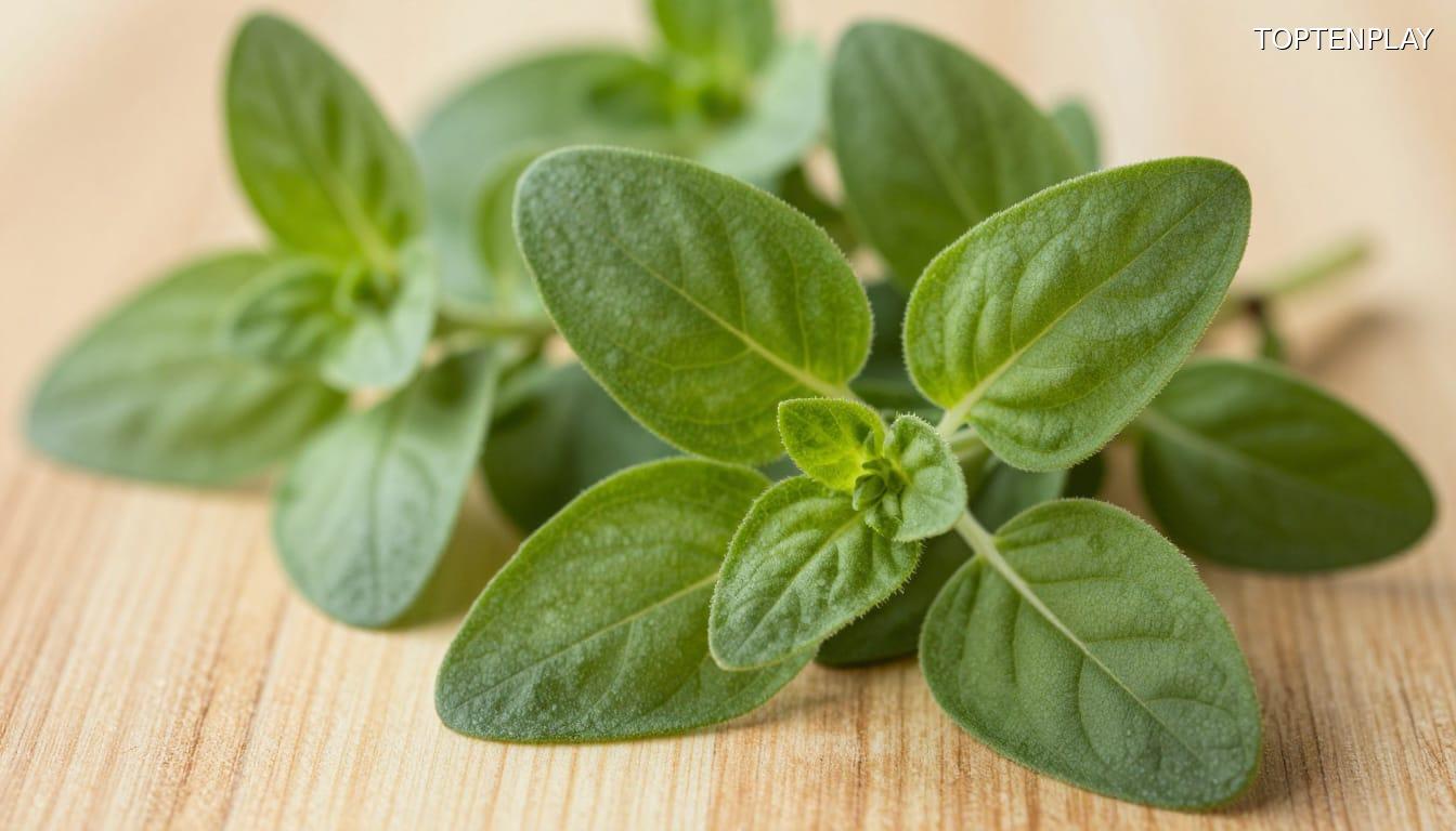 Symbolbild © TopTenPlay