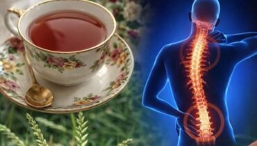 bien être douleurs les maux de tête Plantes médicinales Remèdes naturels Tensions musculaires