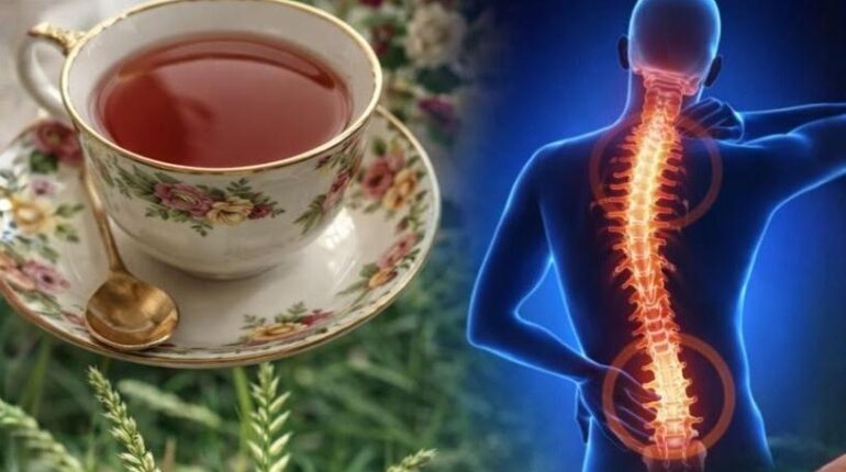 bien être douleurs les maux de tête Plantes médicinales Remèdes naturels Tensions musculaires