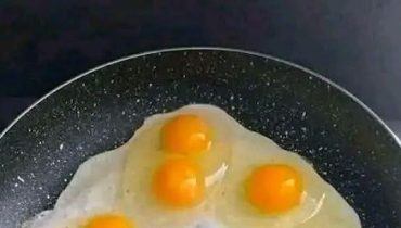 Astuce cuisine Carences Nutritionnelles Œufs mimosa Phénomènes rares Protéines végétales vitamines 