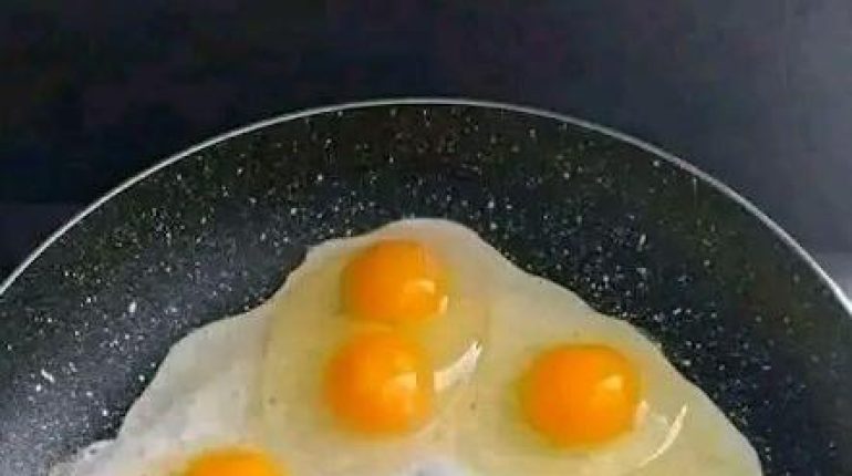 Astuce cuisine Carences Nutritionnelles Œufs mimosa Phénomènes rares Protéines végétales vitamines 