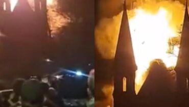 Actualités animales Amsterdam Cloches d'église Incendie Patrimoine Pays-Bas