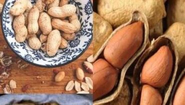 Bienfaits Alimentaires Cacahuètes Carences Nutritionnelles Fonction Cérébrale Régulation glycémie Santé cardiaque