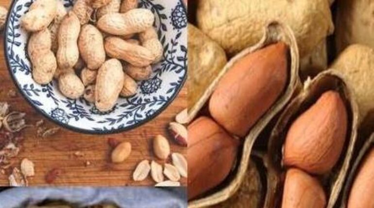 Bienfaits Alimentaires Cacahuètes Carences Nutritionnelles Fonction Cérébrale Régulation glycémie Santé cardiaque