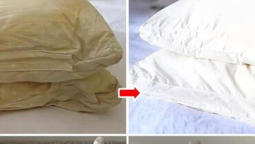 bicarbonate de soude Entretien maison Hygiène alimentaire nettoyage dentaire Oreillers d'appuie-tête vinaigre blanc