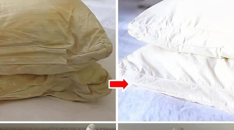 bicarbonate de soude Entretien maison Hygiène alimentaire nettoyage dentaire Oreillers d'appuie-tête vinaigre blanc