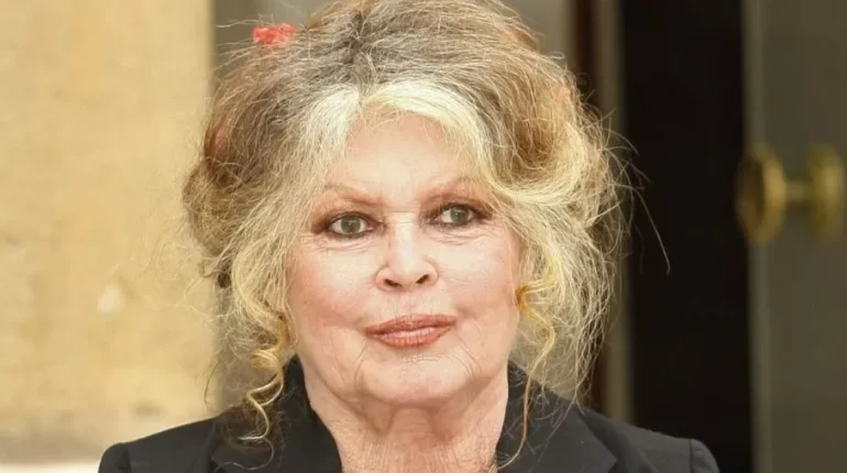Brigitte Bardot Condamnations Débats Jarry racisme label médias
