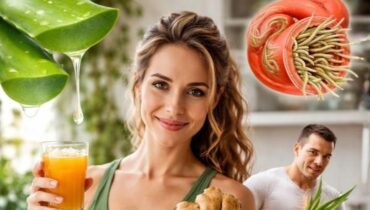 Aloe vera Antibactérien Antifongique citron Immunité Remède naturel Santé intestinale