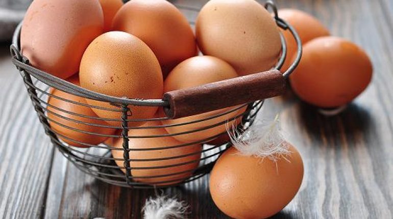 Astuce cuisine Autotests Conservation des aliments fraîcheur Œufs à la coque Sécurité alimentaire 