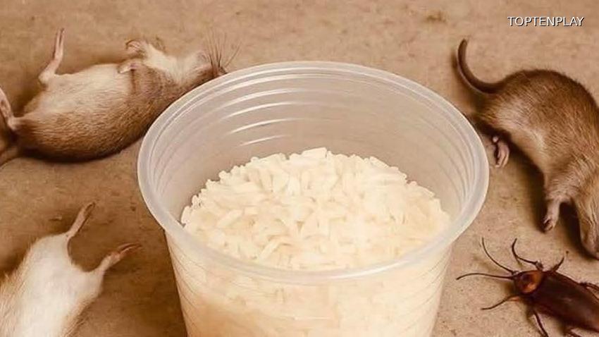 Symbolbild © TopTenPlay