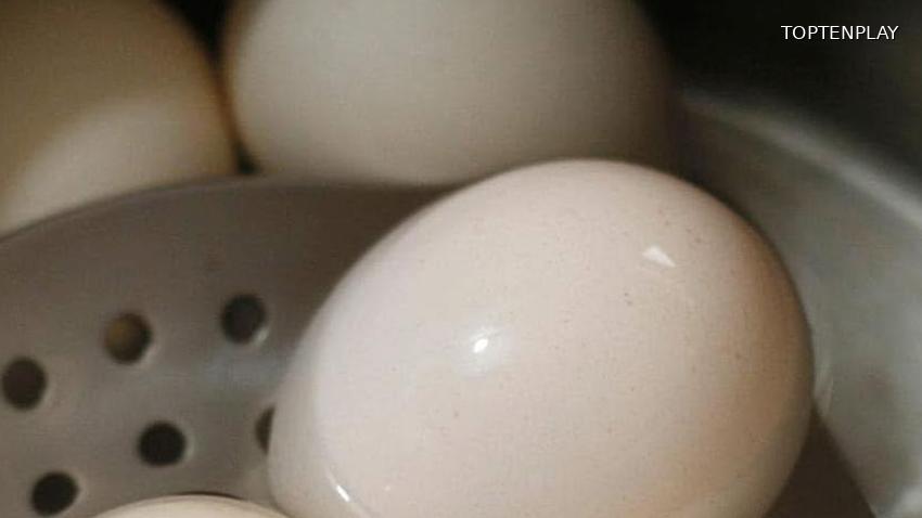 Image d'illustration © TopTenPlay