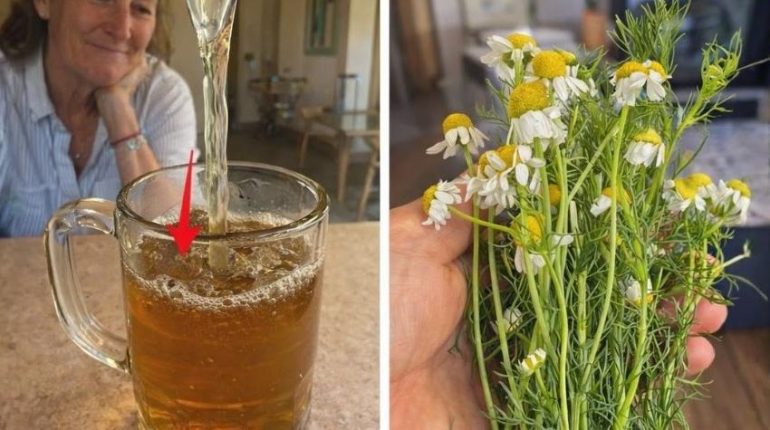 bien être Chèque énergie Circulation sanguine Infusions Plantes médicinales Santé naturelle 