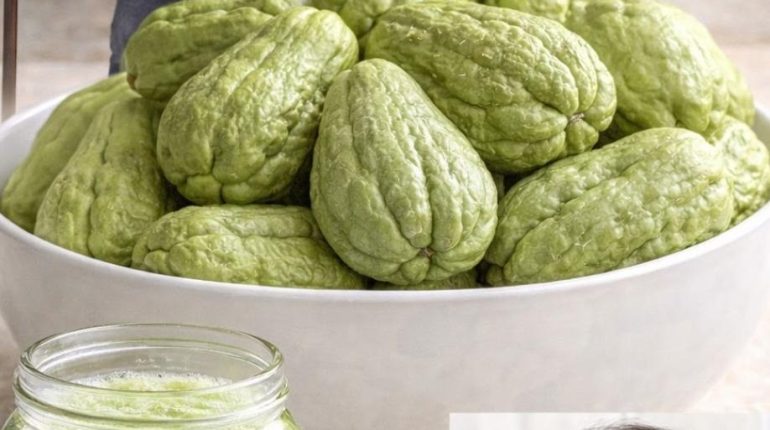 Alimentation saine Articulations bien être Chayote Jus de fruits et légumes Vitamine C 