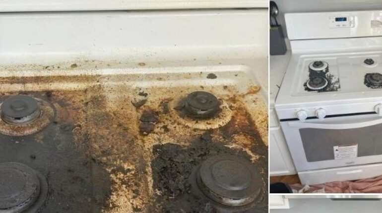 Astuces ménagères bicarbonate de soude citron Nettoyage four Produits écologiques Vinaigre balsamique