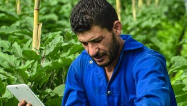 agriculture Aveyron Crise agricole Discrimination Incendie criminel Jarry racisme Tarn-et-Garonne