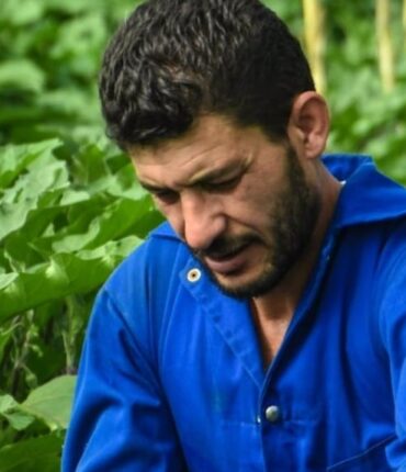 Tarn-et-Garonne : Un agriculteur kabyle perd toute sa récolte après des menaces racistes et un incendie criminel
