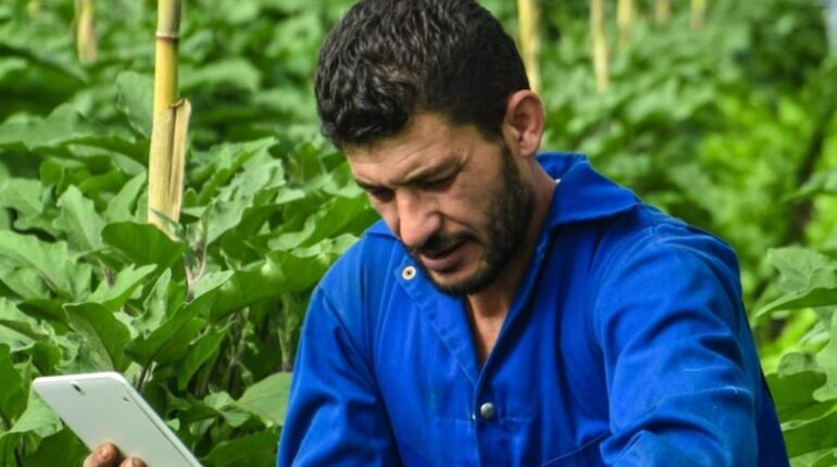 agriculture Aveyron Crise agricole Discrimination Incendie criminel Jarry racisme Tarn-et-Garonne