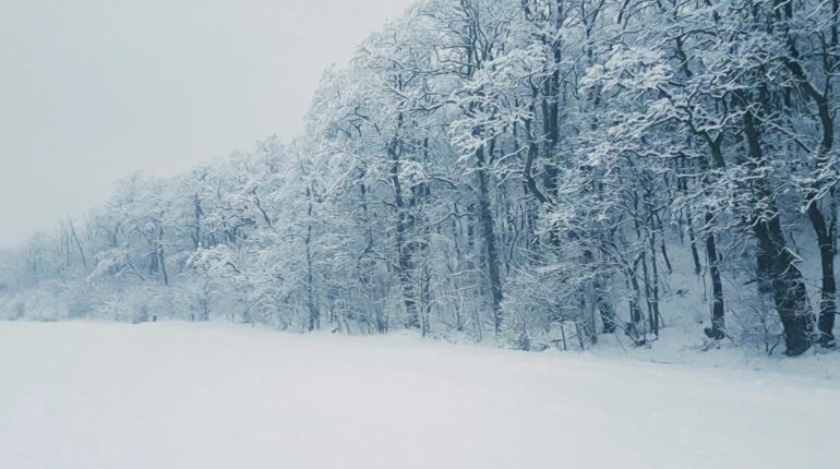 Antarctique changement climatique. Chutes de neige Hiver Météo Précipitations Réchauffement climatique