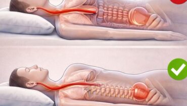 Apnée du sommeil Arrêt cardiaque bien être Bienfaits santé Digestion Exposition Lymphatique