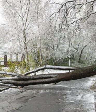 Tempête Goretti : des vents à 213 km/h privent 59 500 foyers d&rsquo;électricité dans la Manche