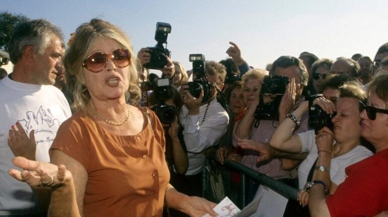 Actualités people Années 70 Brigitte Bardot Cinéma Jarry témoignages People Célébrités