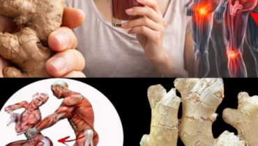 bien être Boisson Énergisante Énergie Durable Gingembre Recette naturelle Sauce tomate