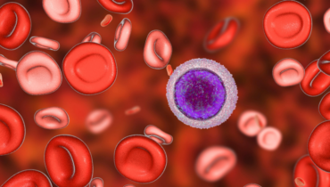 Accepter le traitement Apithérapie Cancer de la peau Nanoparticules Oncologie recherche médicale