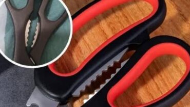 Astuce cuisine Astuces cuisine Bienfaits des noix Ciseaux de cuisine Fruits de mer Ustensiles de cuisine