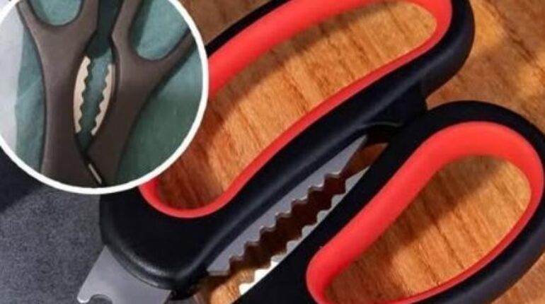 Astuce cuisine Astuces cuisine Bienfaits des noix Ciseaux de cuisine Fruits de mer Ustensiles de cuisine