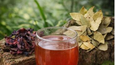 bien être Digestion Infusions Plantes médicinales Recettes naturelles Vitalité