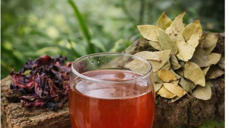 bien être Digestion Infusions Plantes médicinales Recettes naturelles Vitalité