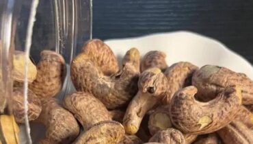 Bienfaits santé cholestérol Fruits secs Noix de cajou Nutrition des plantes Santé cardiaque