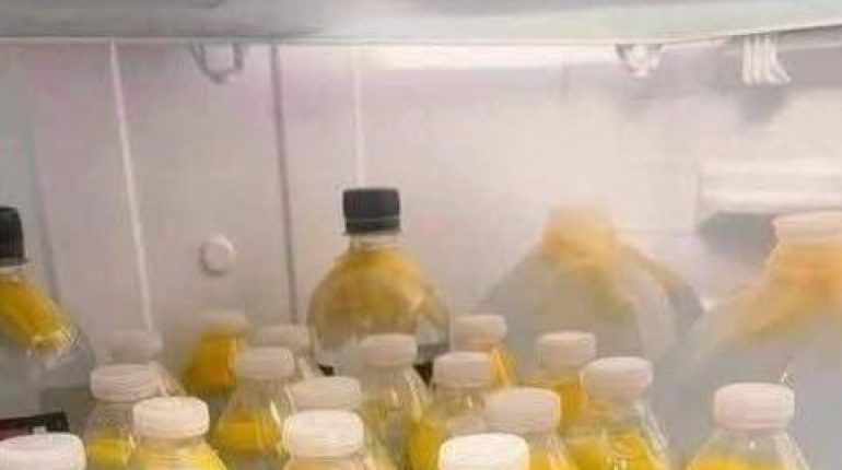 Bienfaits gingembre Boisson santé Eau de gingembre Gestion du poids Métabolisme Satiété 