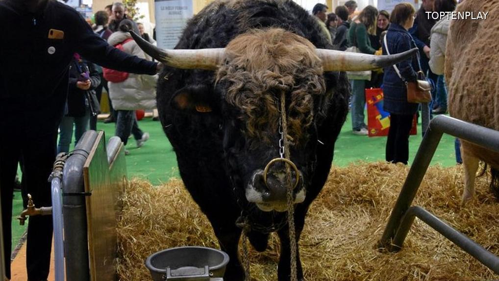 Image d'illustration © TopTenPlay