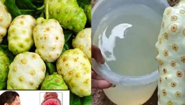 Astuces santé bien être Fruits tropicaux glycémie Immunité inflammation Noni 